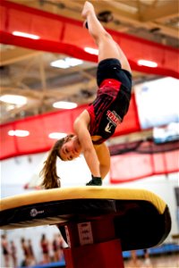 Gymnastics-2308