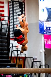 Gymnastics-2216