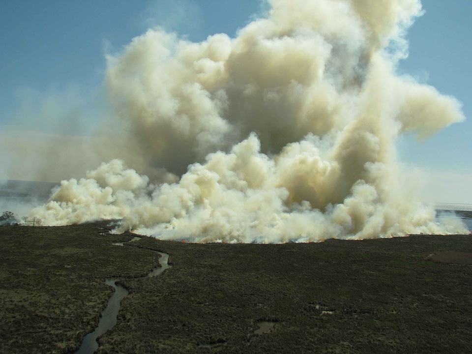 Burning domestic national park