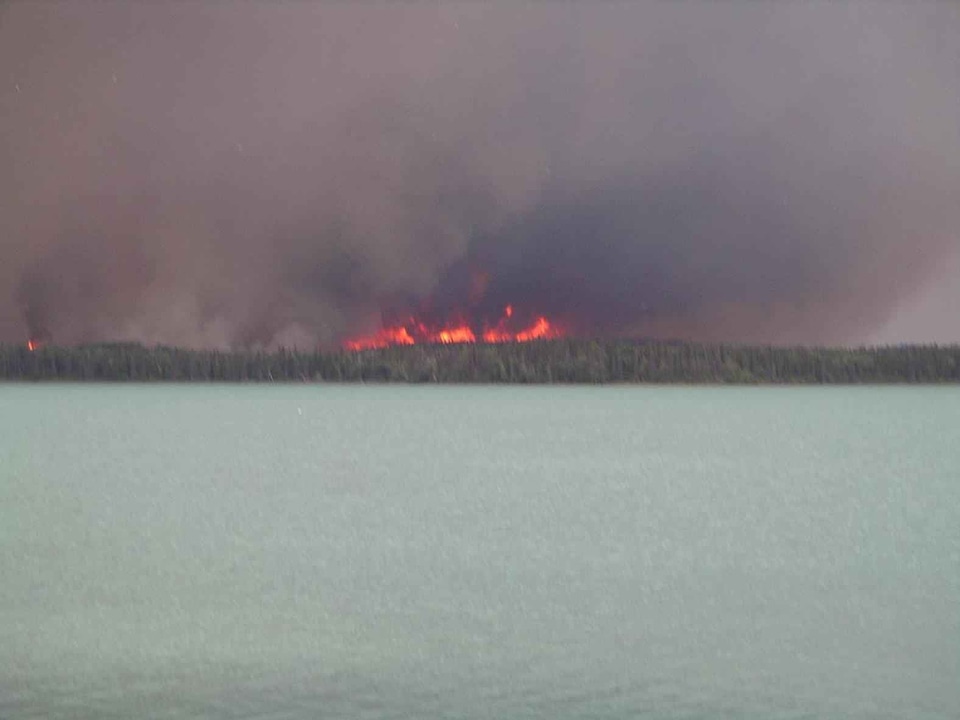 Fire forest forest fire