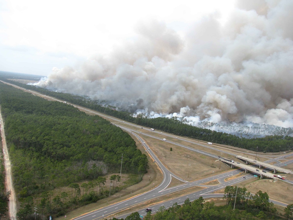 Border fire forest photo