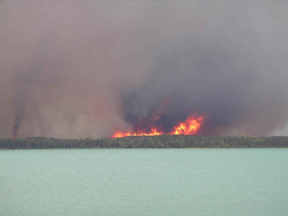 Fire flames forest