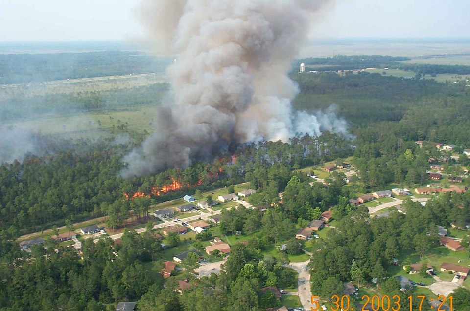 Fire forest forest fire