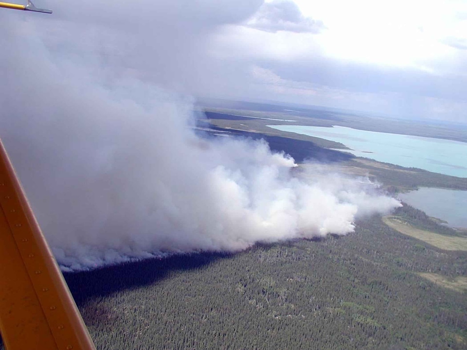 Fire forest forest fire