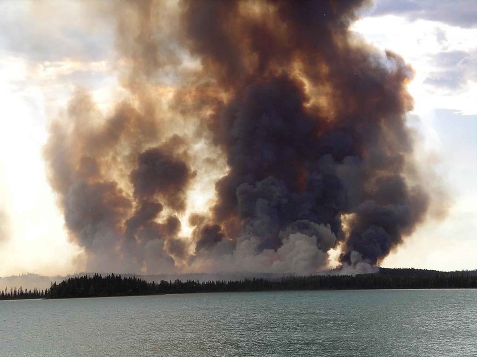 Fire flames forest