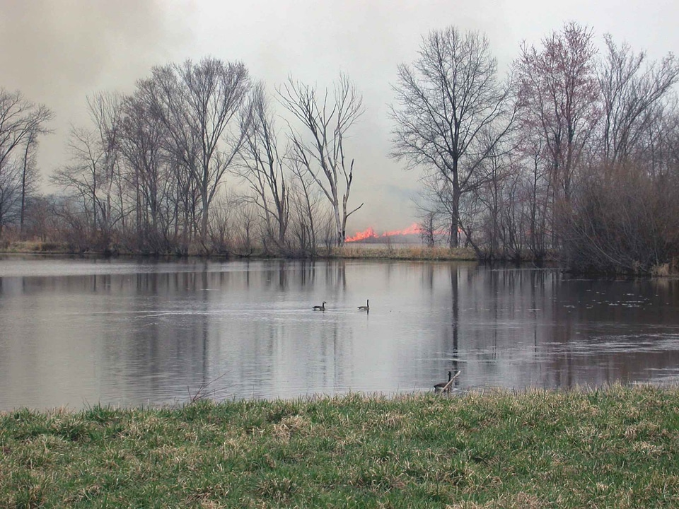 Around burn lake