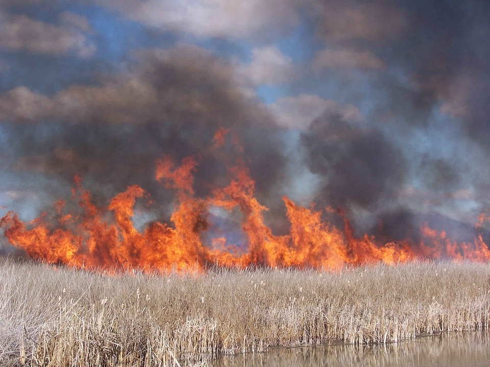 Burning  