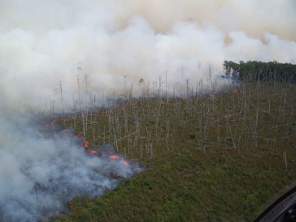 Array burn fire