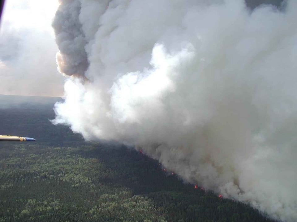 Fire forest forest fire