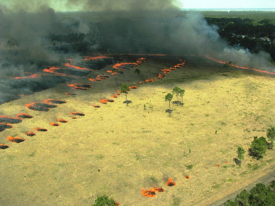 Fire perspective 