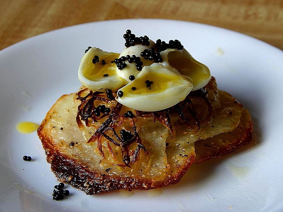 Colinus Virginianus food 