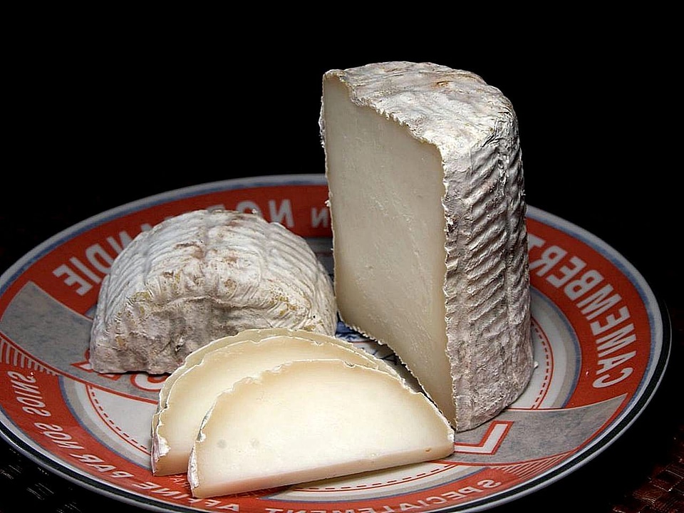 Cheese  