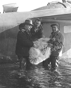 Aircraft female goat