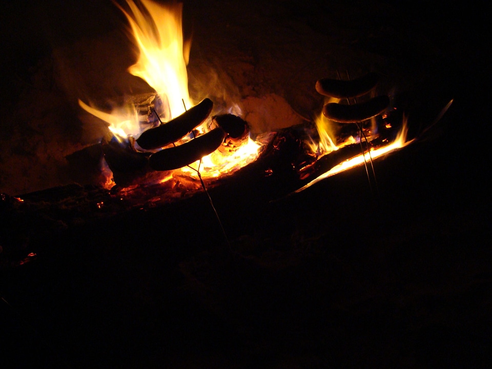 Bratwurst frying phylum