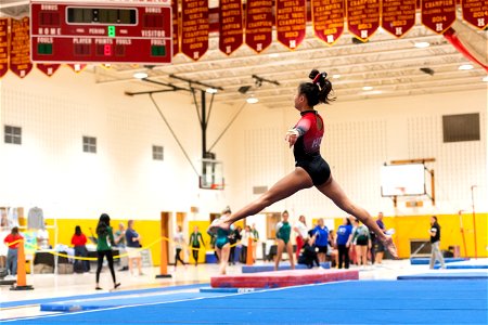 Sectional Finals-7341