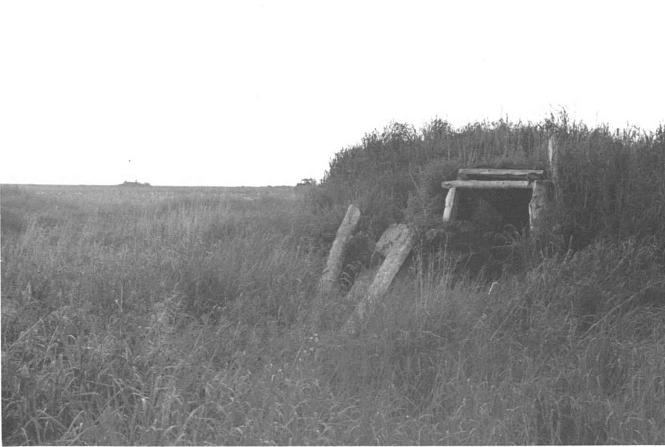 Home remains tundra