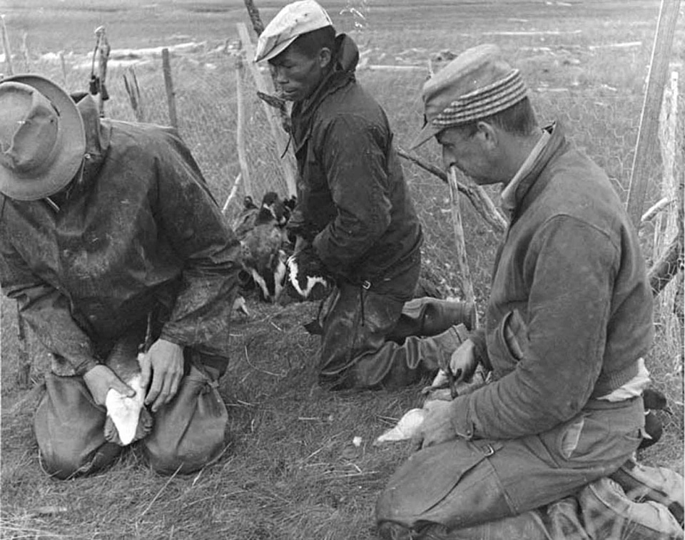 Ancient labor people