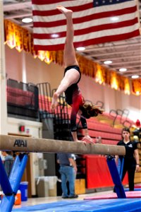 Sectional Finals-7048