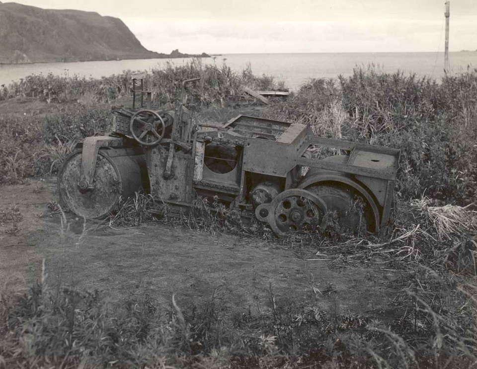 Ancient car vegetation