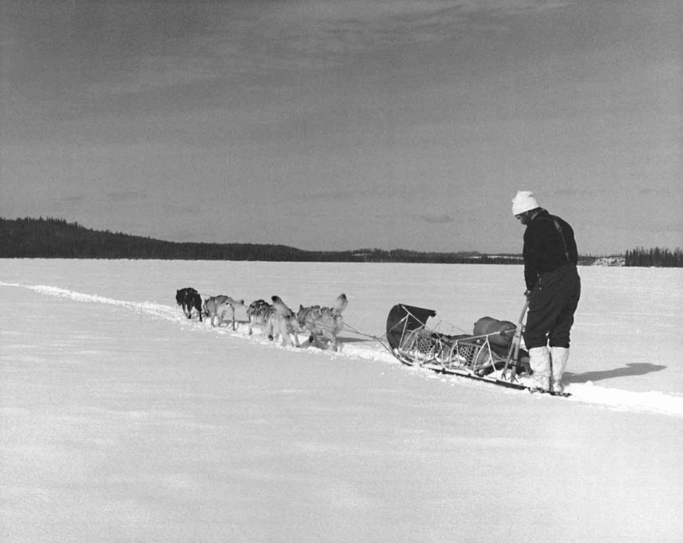 Bearing equipment island