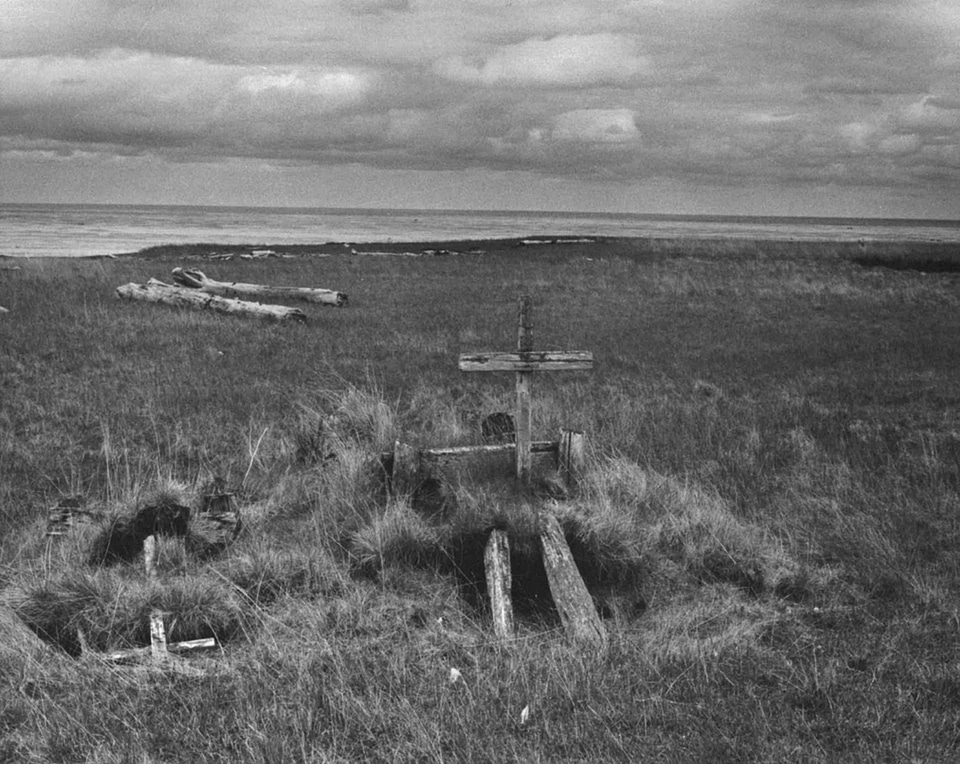 Cemetery native photo