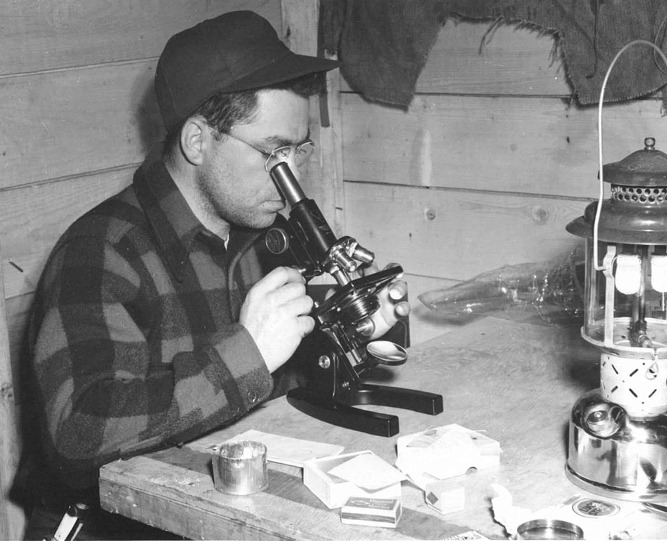 Husband microscope 