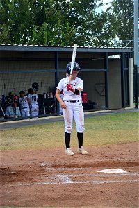 TC  (138)
