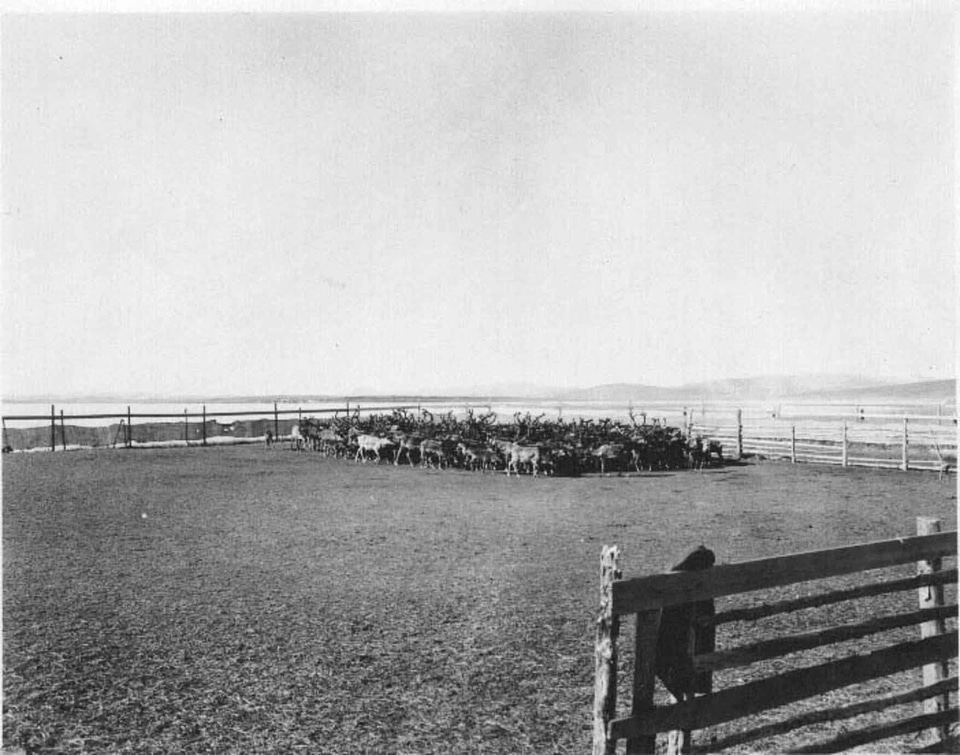 Corral  