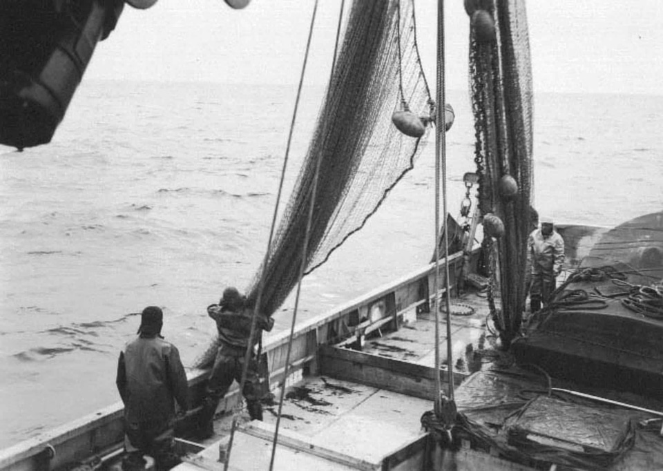 Fishery history mare