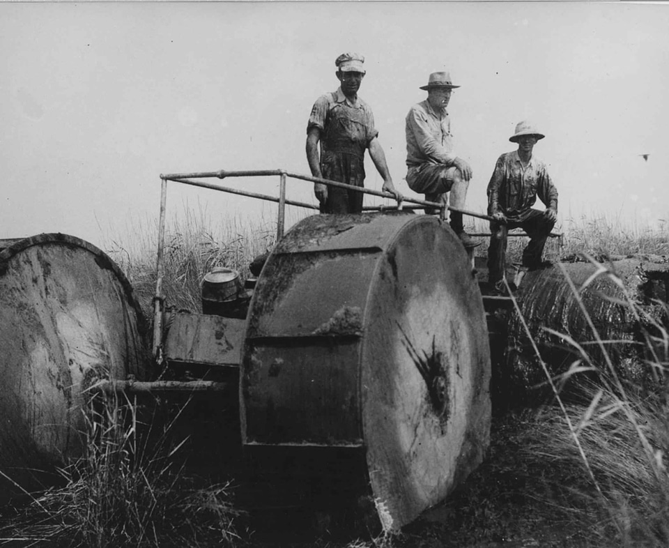 Ancient machine people