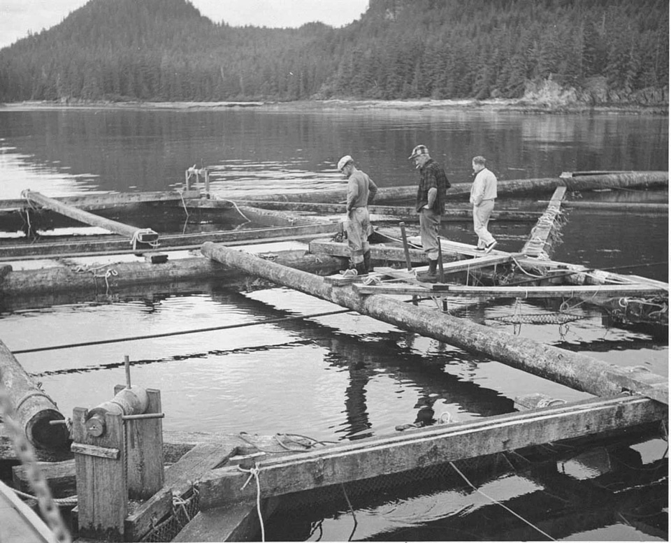 Fish float lumber