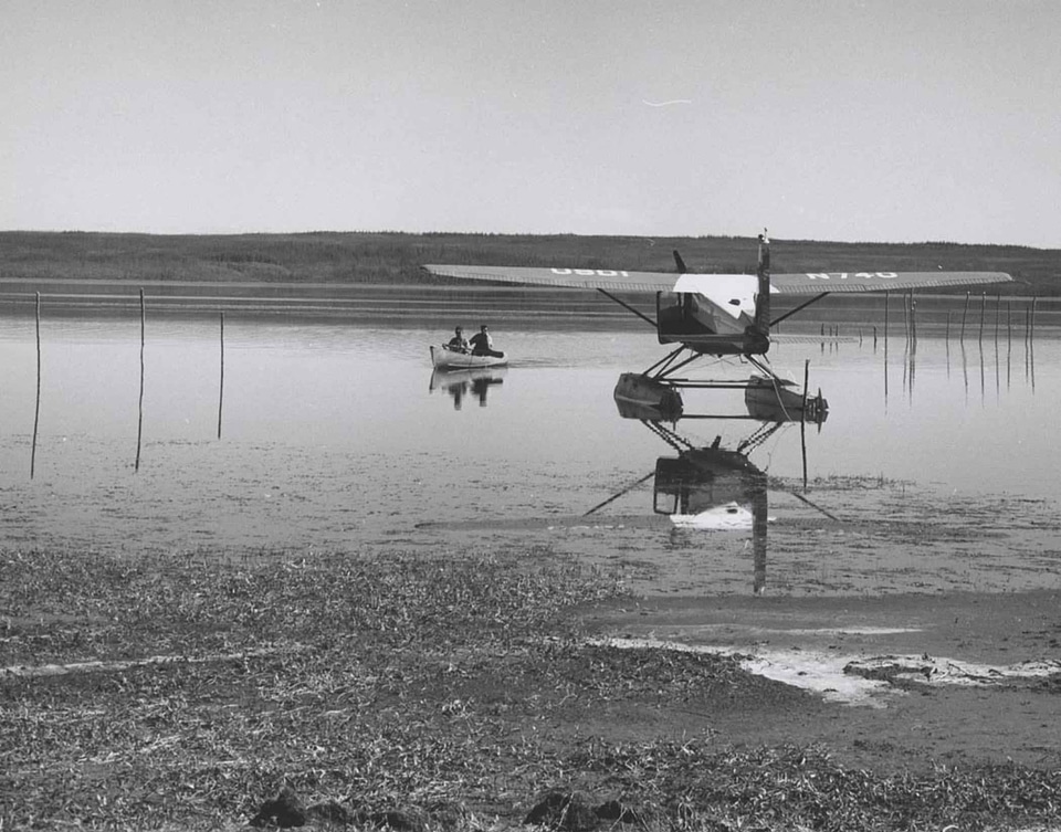 Aircraft aquatic ebony