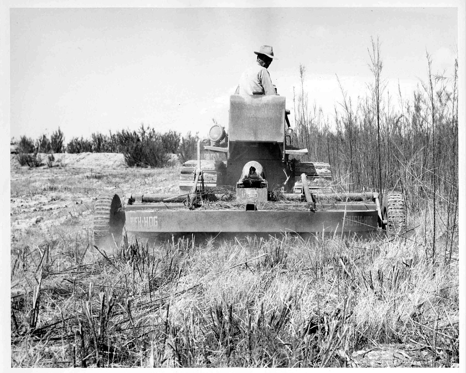Brush court cutter