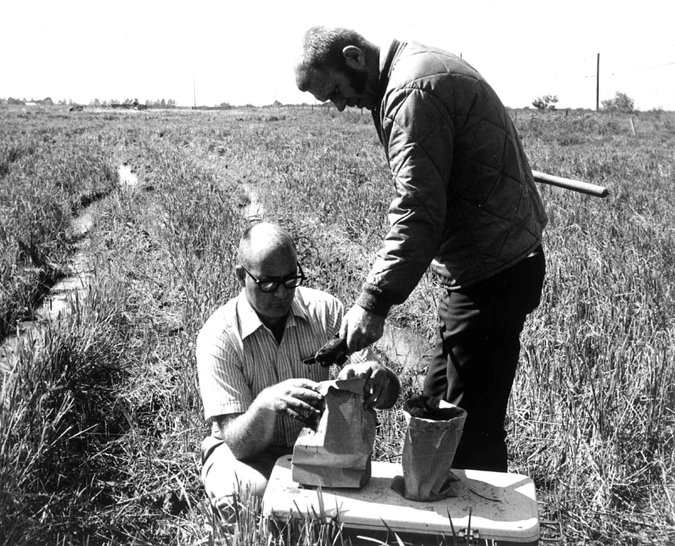 Array labor photo