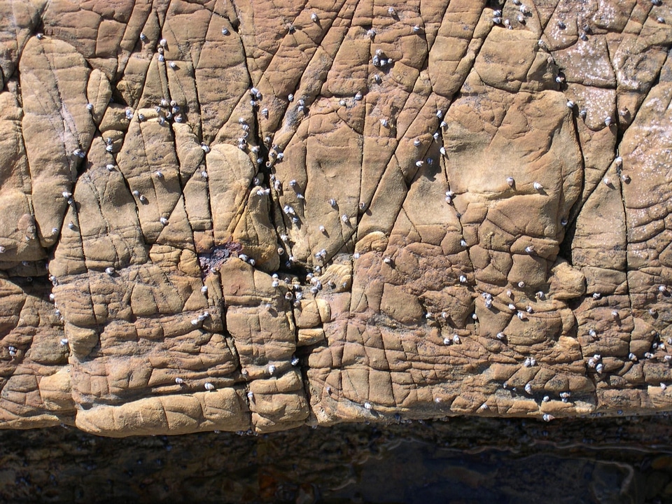 Marble rock stone