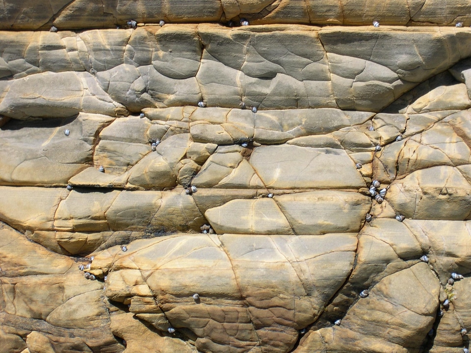 Rock stone stones