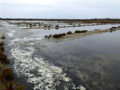 Marais salants, Ré