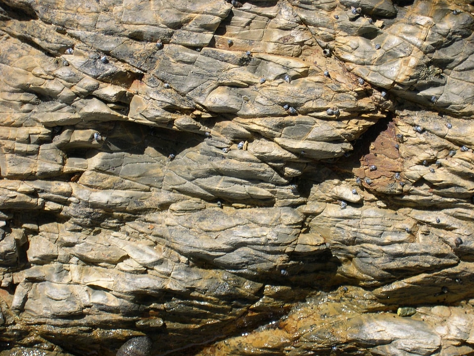 Close close-up rock