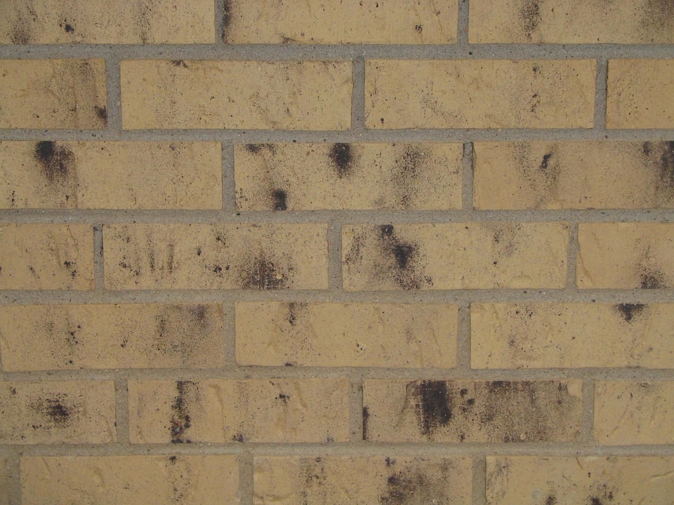 Brick yellow 