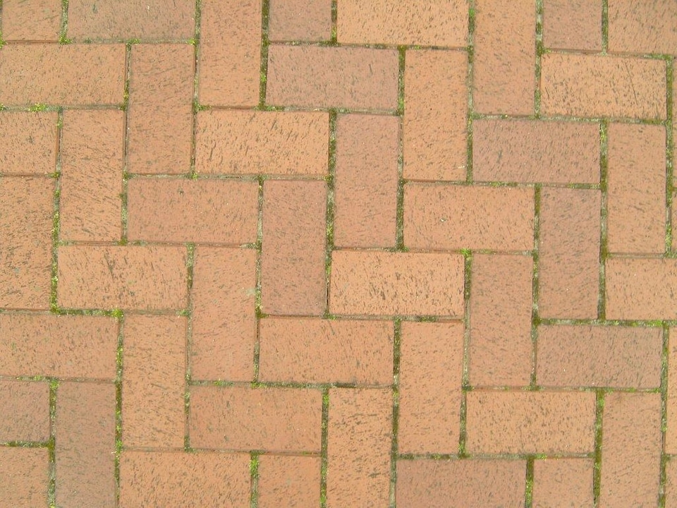 Orange red structure