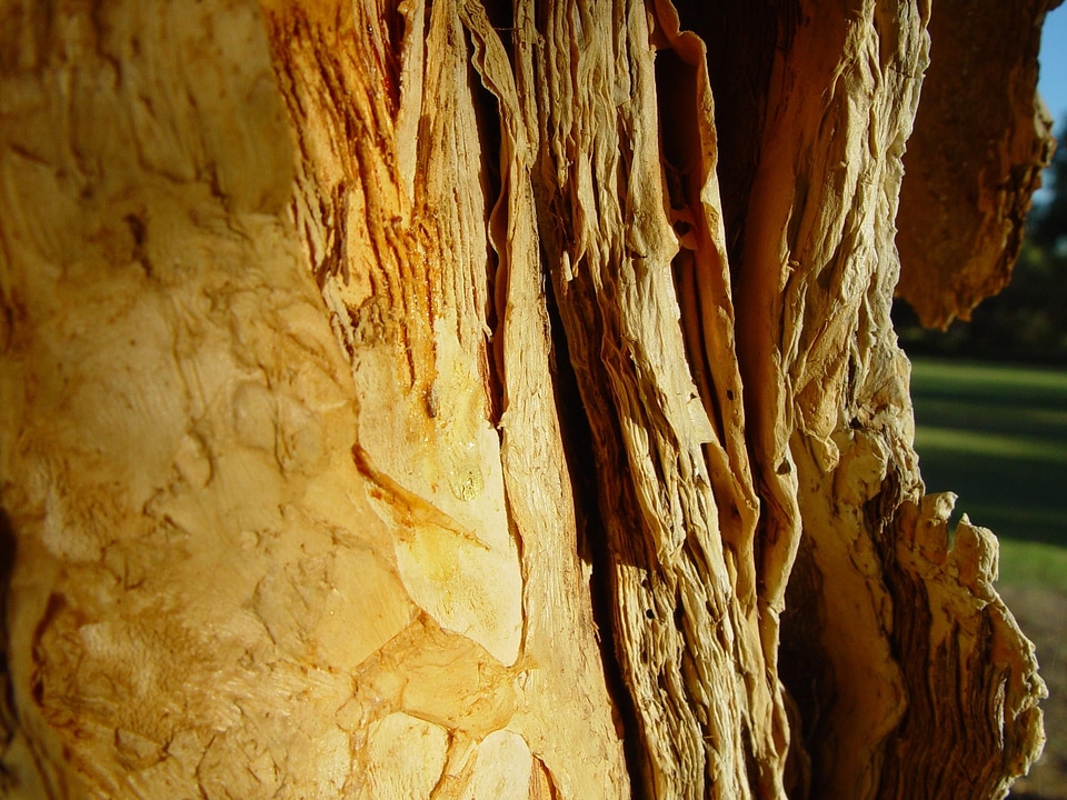 Structure  