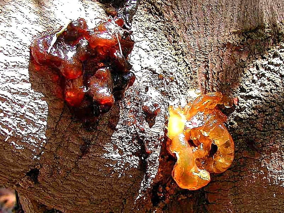 Amber orange red