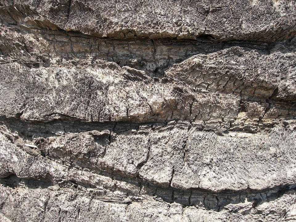 Ancient close-up gray