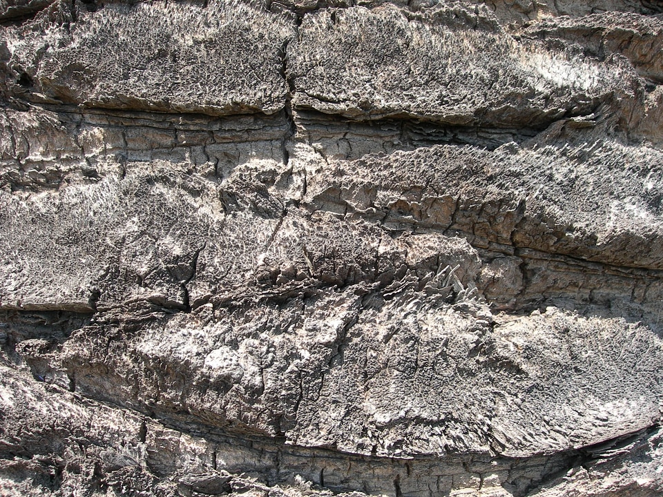 Ancient close-up gray