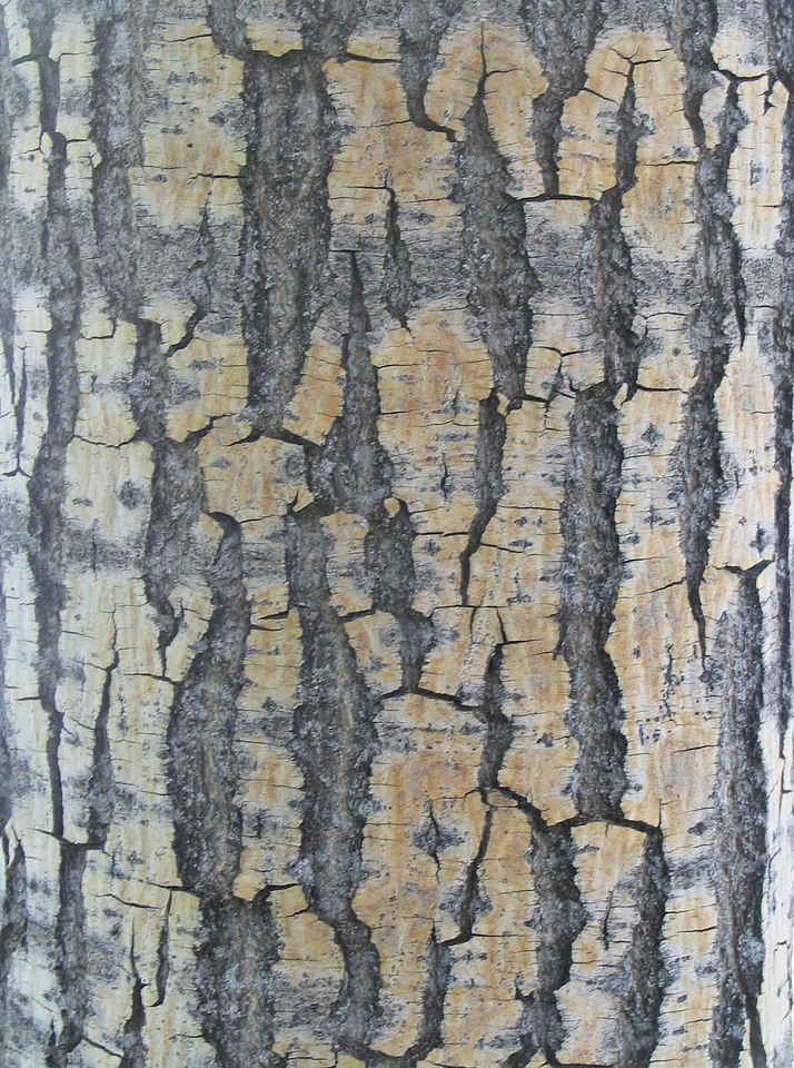 Lumber structure 