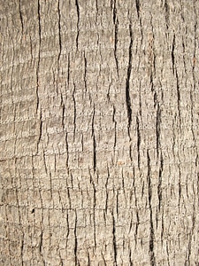 Close close-up model