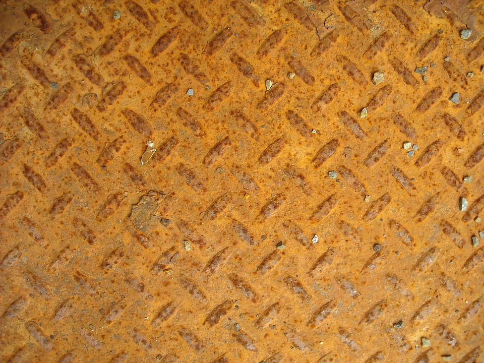 Metal phylum rust