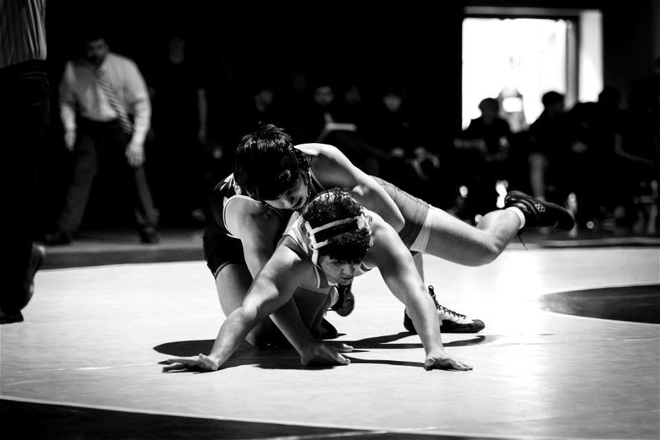 HC vs North-3914