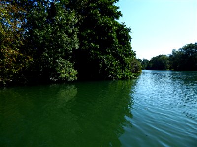 Ripisylves de la Charente
