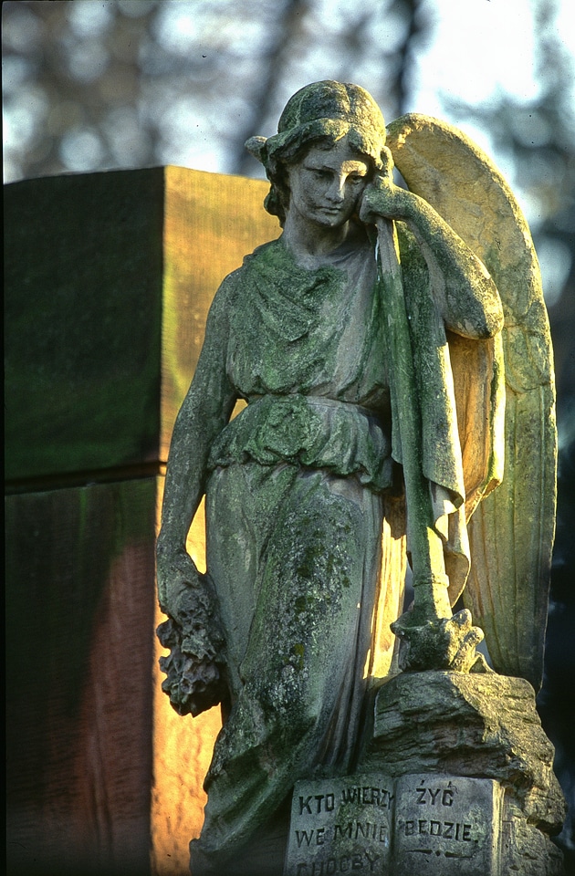 Powązki cemetery statues